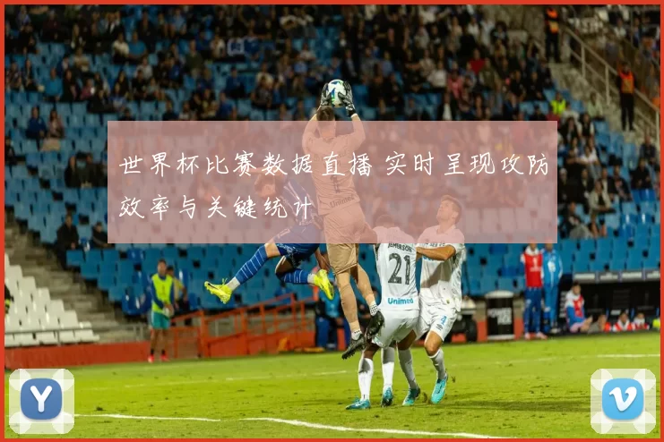 世界杯比赛数据直播 实时呈现攻防效率与关键统计