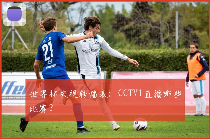 世界杯央视转播表:CCTV1直播哪些比赛?