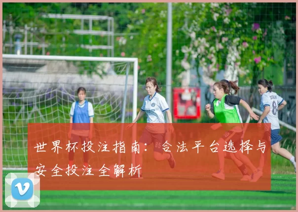 世界杯投注指南：合法平台选择与安全投注全解析