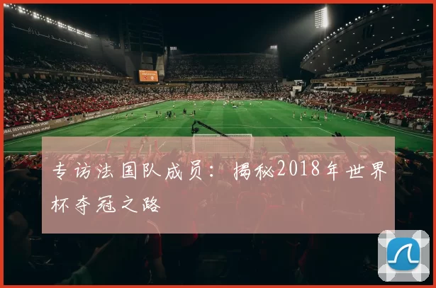 专访法国队成员：揭秘2018年世界杯夺冠之路