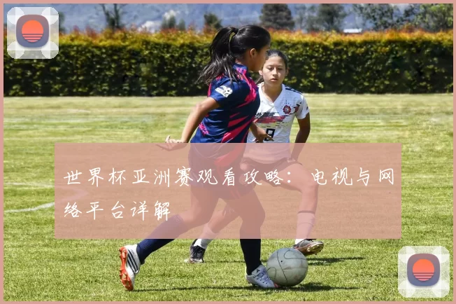 世界杯亚洲赛观看攻略：电视与网络平台详解