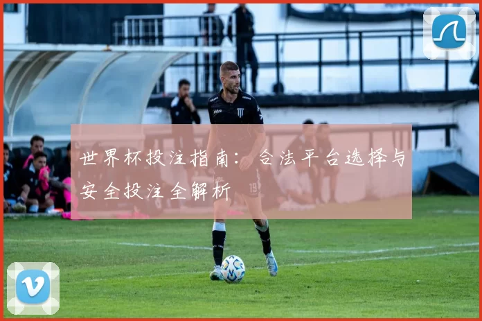 世界杯投注指南：合法平台选择与安全投注全解析