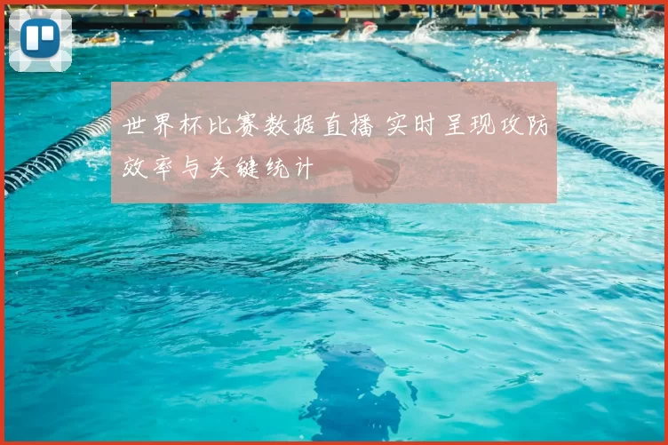 世界杯比赛数据直播 实时呈现攻防效率与关键统计