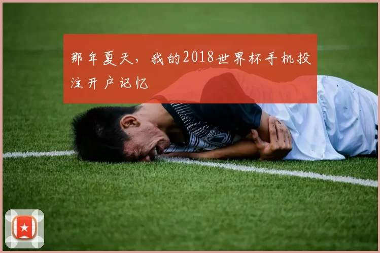 那年夏天,我的2018世界杯手机投注开户记忆