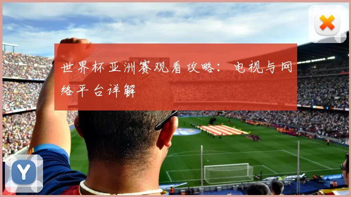 世界杯亚洲赛观看攻略:电视与网络平台详解