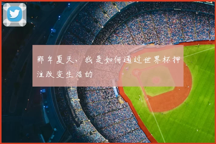 那年夏天,我是如何通过世界杯押注改变生活的