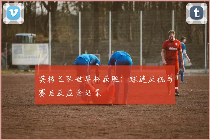 英格兰队世界杯获胜:球迷庆祝与赛后反应全记录