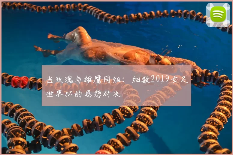 当玫瑰与雄鹰同组:细数2019女足世界杯的恩怨对决